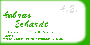 ambrus erhardt business card
